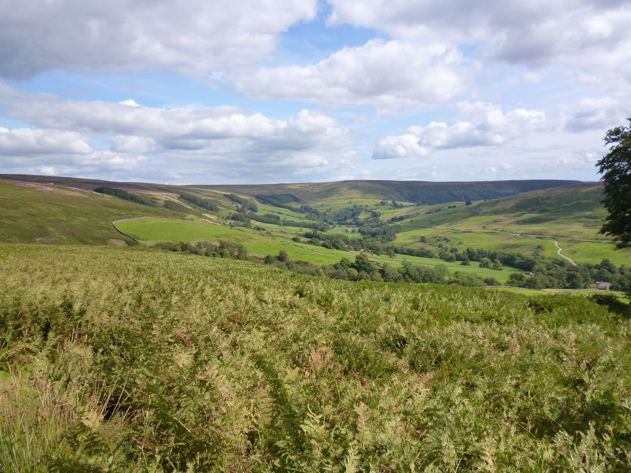 Nidderdale Area Of Outstanding Natural Beauty 