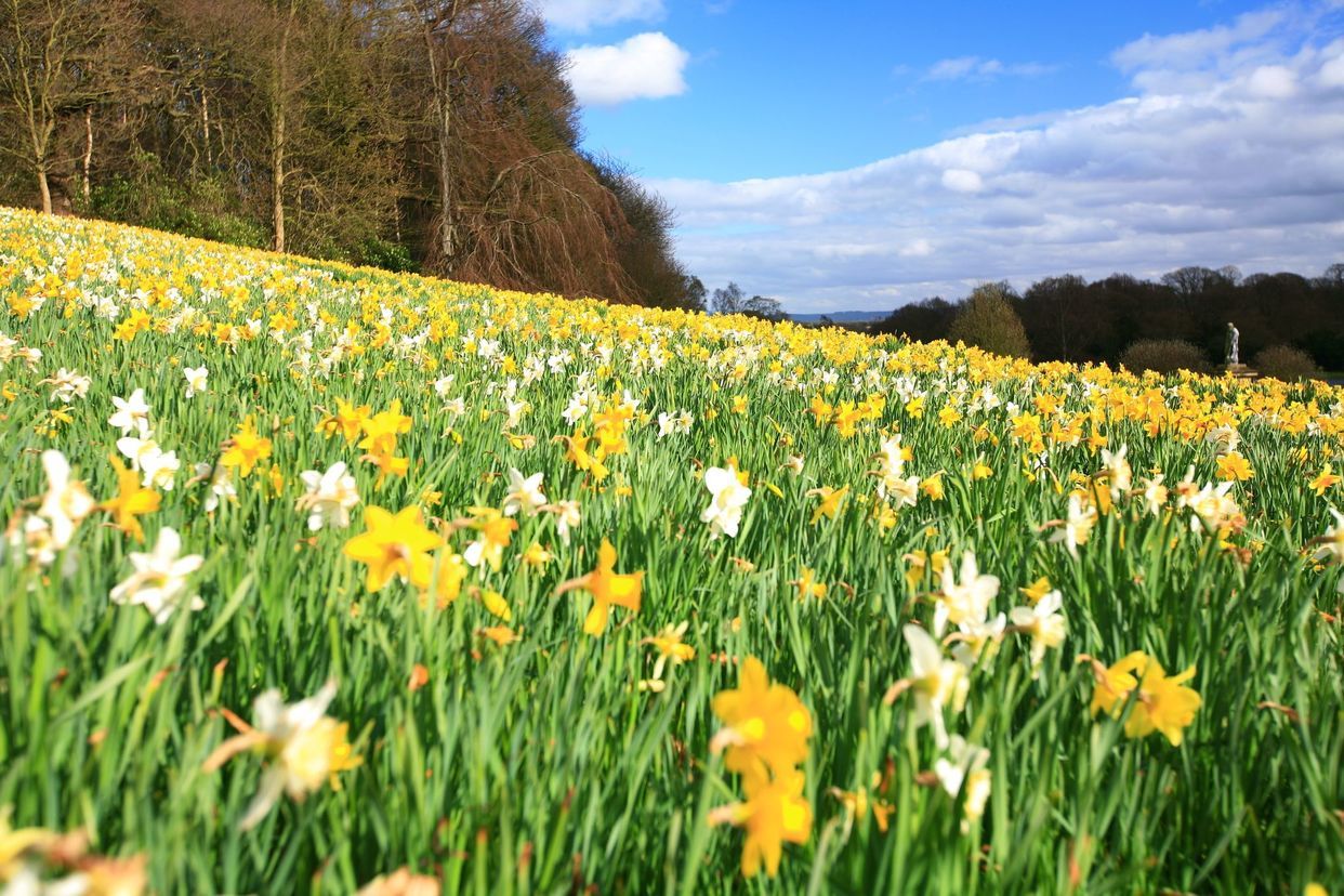 Howardian Hills Area of Outstanding Natural Beauty | Hikepack: Clever ...