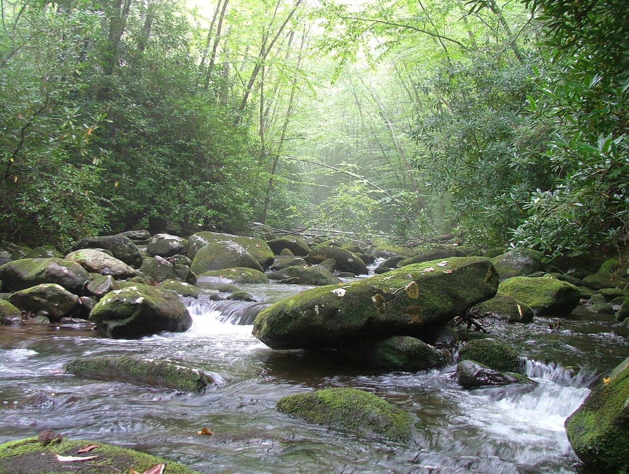 Cherokee National Forest  Hikepack: Clever Hiking Maps