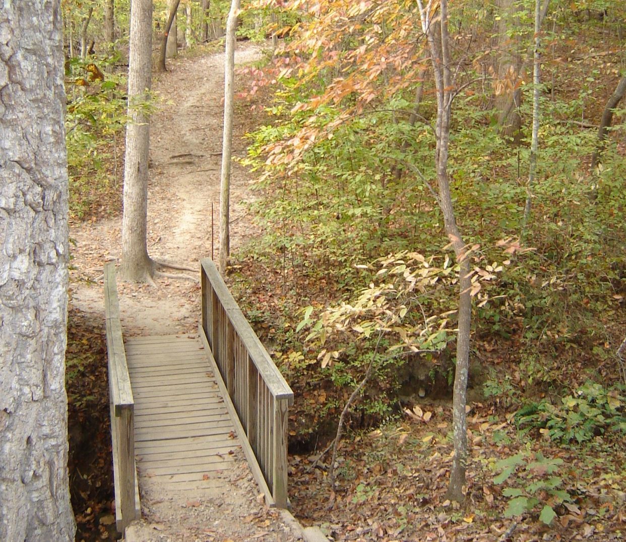 William B. Umstead State Park | Hikepack: Clever Hiking Maps